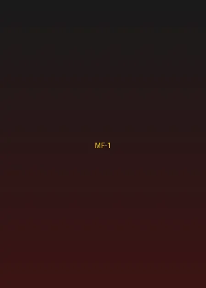 四虎视频 - 都市丽人海报